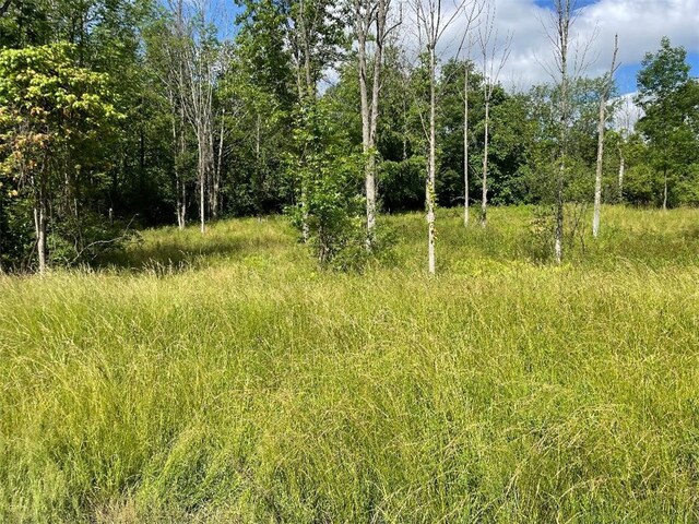 624 County Road 9, Victor, NY 14564 - photo 10