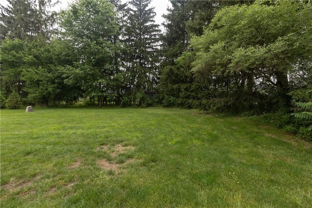 405 Greystone Dr, Horseheads, NY 14845 - view of green lawn