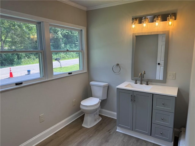 6365 Honey Run Rd, Hornellsville, NY 14843 - bathroom with plenty of natural light, vanity, wood finished floors, and ornamental molding