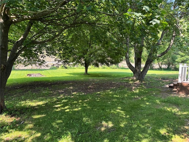 6365 Honey Run Rd, Hornellsville, NY 14843 - view of grassy yard
