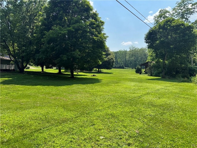 6365 Honey Run Rd, Hornellsville, NY 14843 - view of green lawn
