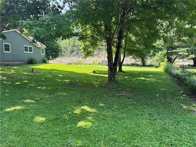 6365 Honey Run Rd, Hornellsville, NY 14843 - view of yard