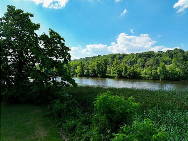 689 Canal Dr E, Macedon, NY 14502 - photo 8