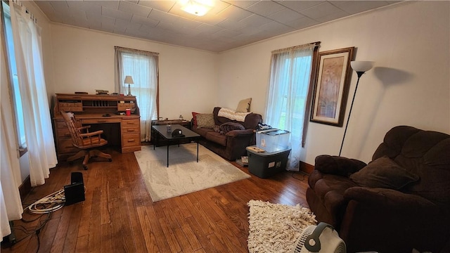 401 Lower Pace Rd, Corning City, NY 14830 - living room with wood-type flooring, healthy amount of natural light, and ornamental molding