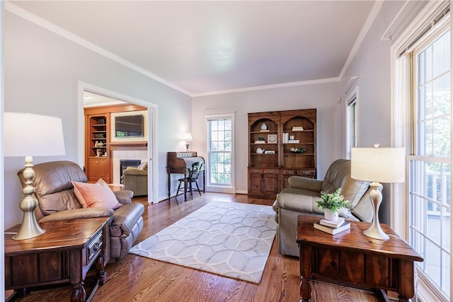 117 Neuchatel Ln, Perinton, NY 14450 - living room featuring ornamental molding, healthy amount of natural light, wood finished floors, and a tile fireplace