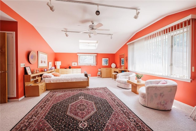 125 Sunset Dr, Brighton, NY 14618 - bedroom with rail lighting, carpet floors, vaulted ceiling, and a skylight