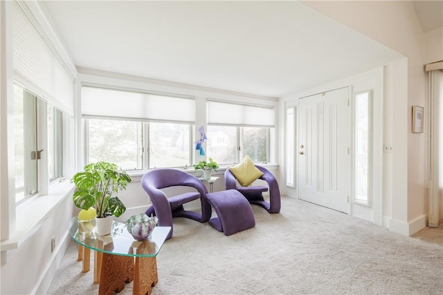 125 Sunset Dr, Brighton, NY 14618 - living room featuring carpet floors