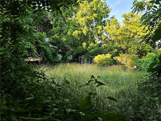 178 Campbell Park, Rochester, NY 14606 - view of undeveloped land