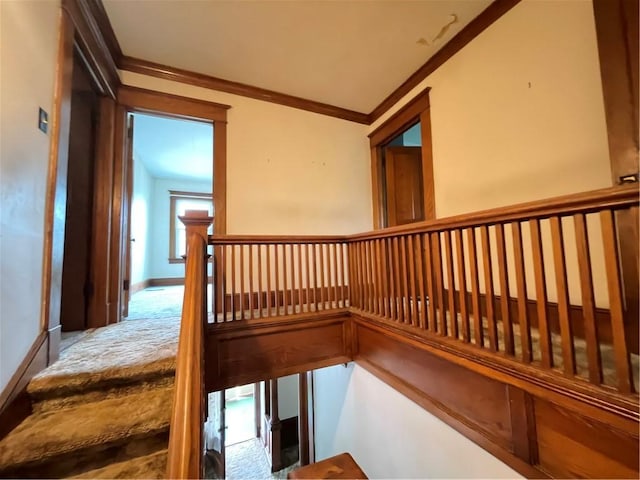4 Third St, Oneonta, NY 13820 - stairs with carpet floors and crown molding