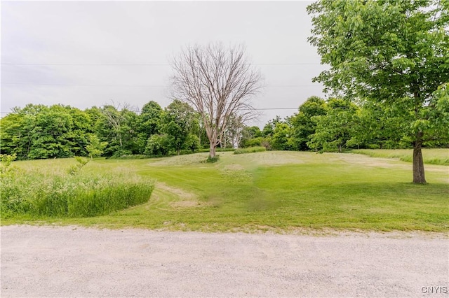 218 Campbell Rd, Gouverneur, NY 13642 - view of green lawn