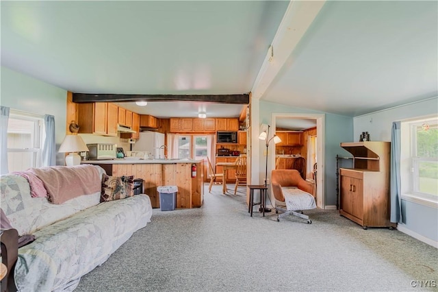 218 Campbell Rd, Gouverneur, NY 13642 - living area featuring beam ceiling and light colored carpet