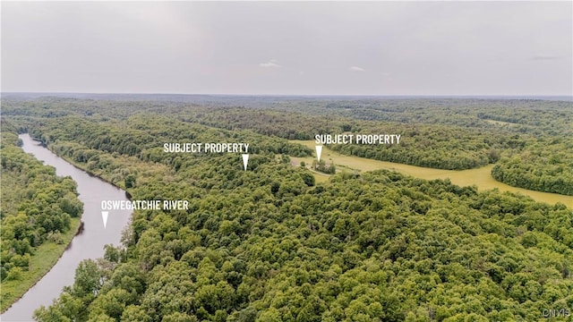 218 Campbell Rd, Gouverneur, NY 13642 - drone / aerial view of a forest and a large body of water