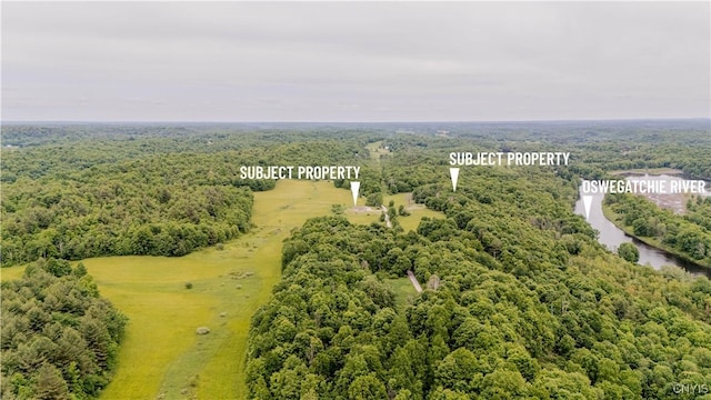 218 Campbell Rd, Gouverneur, NY 13642 - bird's eye view of a heavily wooded area