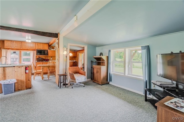 218 Campbell Rd, Gouverneur, NY 13642 - living room featuring light carpet and baseboards