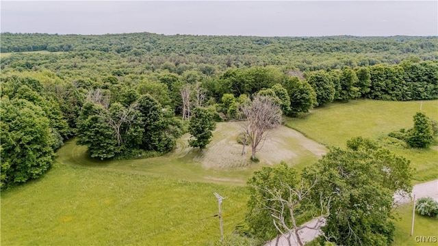 218 Campbell Rd, Gouverneur, NY 13642 - drone / aerial view of a forest