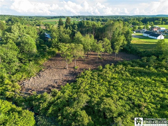 0 Washington St, Harmony, NY 14710 - photo 10