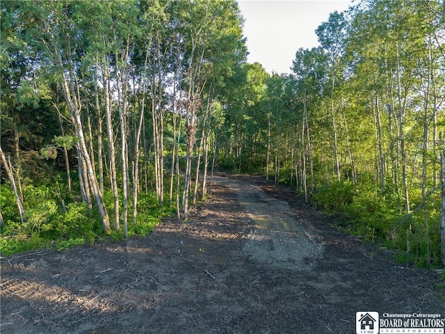 0 Washington St, Harmony, NY 14710 - photo 4