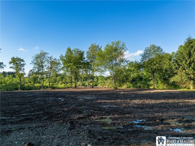 0 Washington St, Harmony, NY 14710 - photo 5