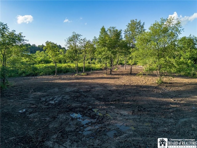 0 Washington St, Harmony, NY 14710 - photo 6