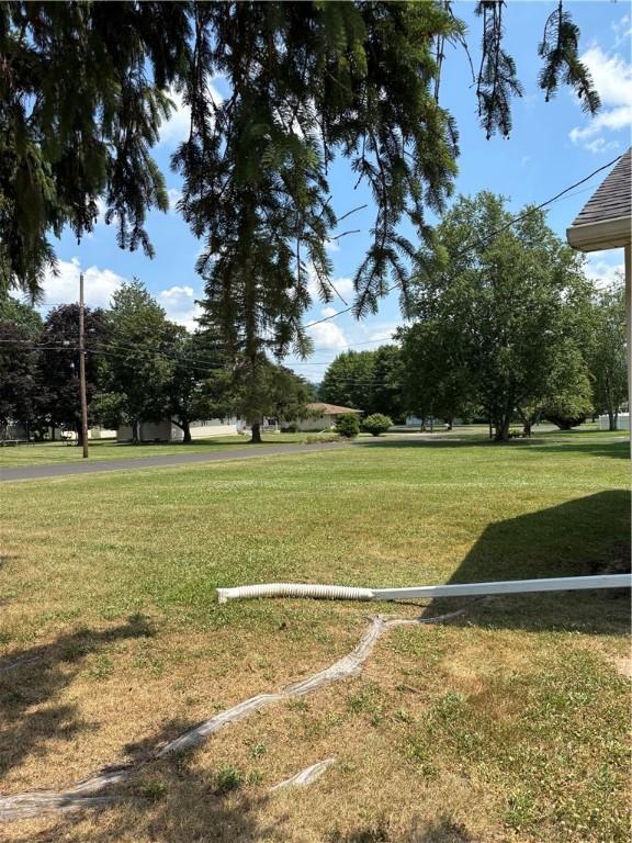 12 Willow St, Big Flats, NY 14814 - photo 3