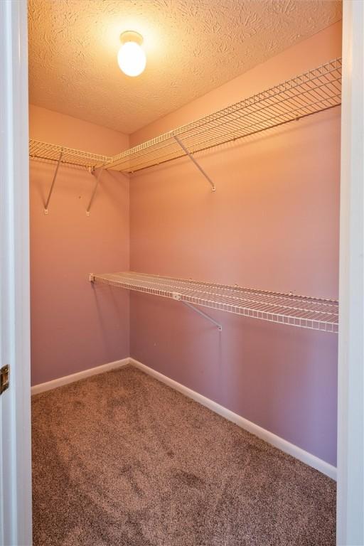 179 Down St, Henrietta, NY 14623 - walk in closet with carpet floors