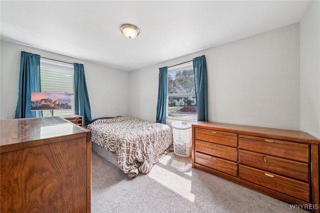 167 Somerville Ave, Tonawanda, NY 14150 - view of carpeted bedroom