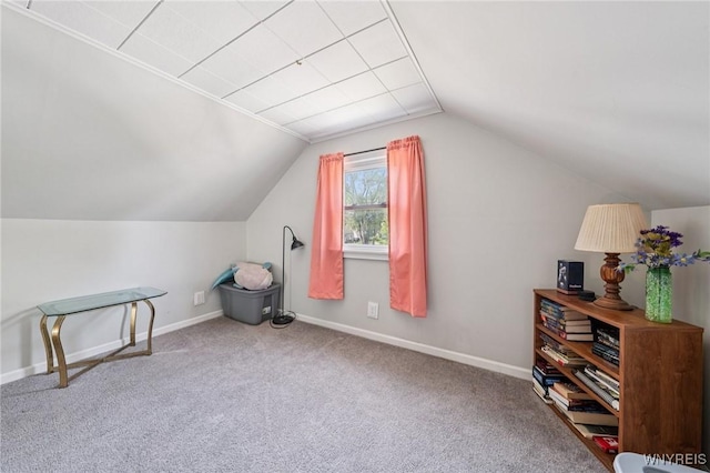 167 Somerville Ave, Tonawanda, NY 14150 - bonus room featuring carpet and lofted ceiling