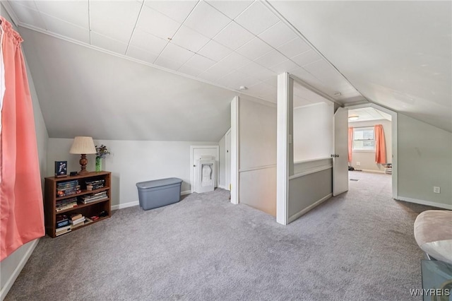 167 Somerville Ave, Tonawanda, NY 14150 - additional living space with lofted ceiling and carpet