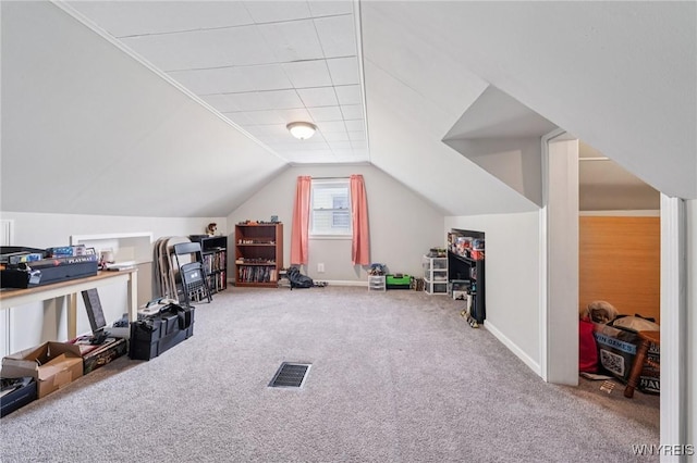 167 Somerville Ave, Tonawanda, NY 14150 - additional living space with carpet floors and vaulted ceiling
