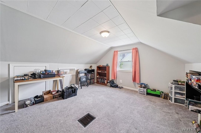 167 Somerville Ave, Tonawanda, NY 14150 - additional living space with carpet flooring and vaulted ceiling