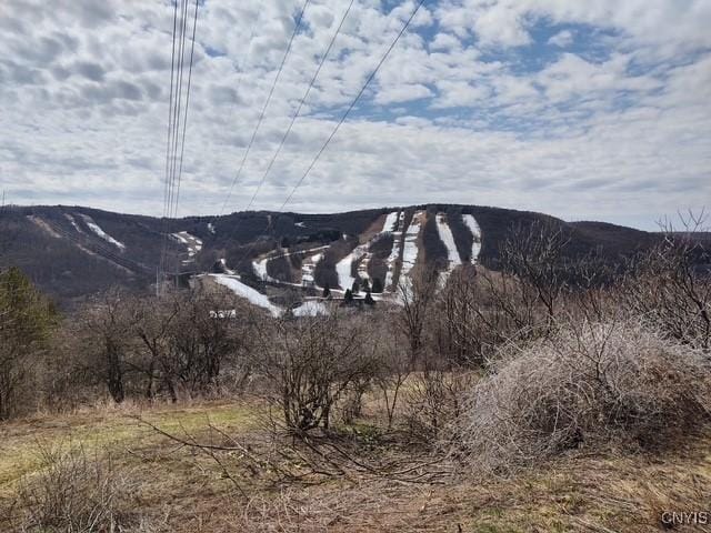 2220 Kypriotis Drive Extension, Virgil, NY 13045