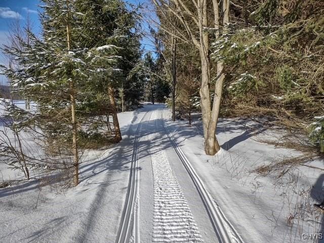 2220 Kypriotis Drive Extension, Virgil, NY 13045