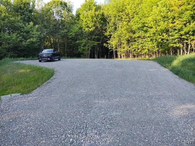 2220 Kypriotis Drive Extension, Virgil, NY 13045