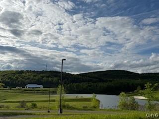 2220 Kypriotis Drive Extension, Virgil, NY 13045