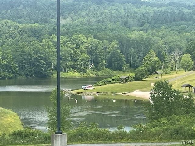 2220 Kypriotis Drive Extension, Virgil, NY 13045