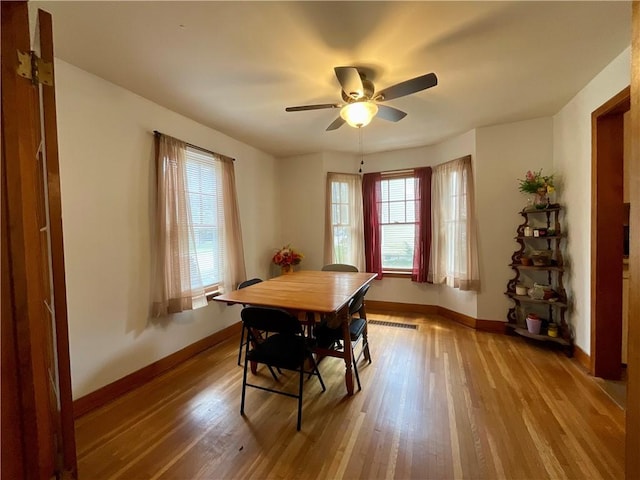 2 Washington St, North Dansville, NY 14437 - dining room with plenty of natural light, wood finished floors, and a ceiling fan
