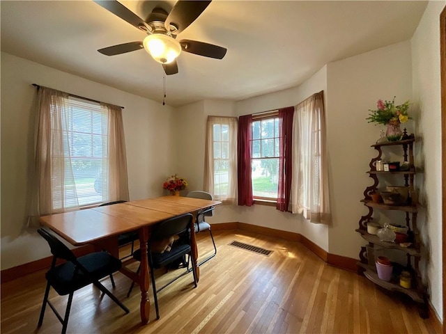 2 Washington St, North Dansville, NY 14437 - dining room with light wood-type flooring and ceiling fan