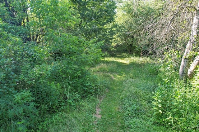 315 County Route 23, Constantia, NY 13044 - photo 16