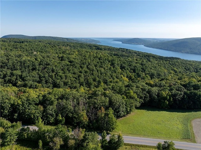 S Gannett Hill Rd, South Bristol, NY 14512 - photo 1