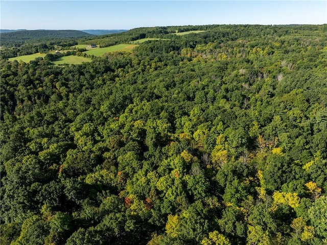 S Gannett Hill Rd, South Bristol, NY 14512 - photo 2