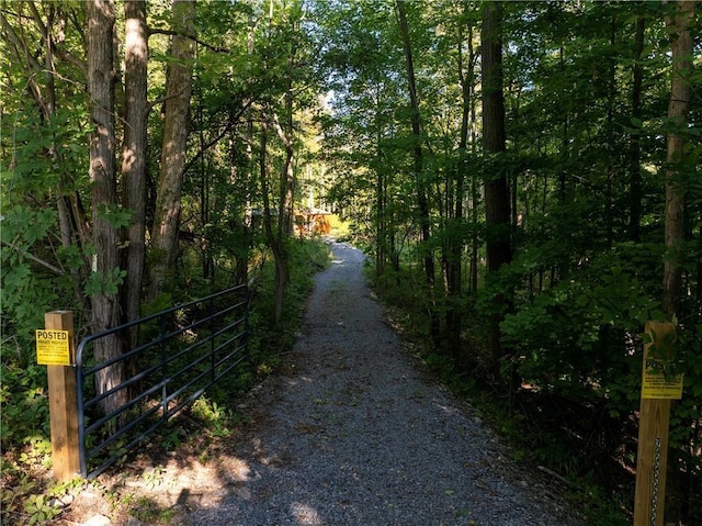 S Gannett Hill Rd, South Bristol, NY 14512 - photo 4