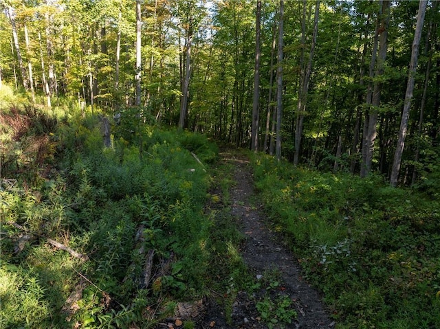 S Gannett Hill Rd, South Bristol, NY 14512 - photo 8