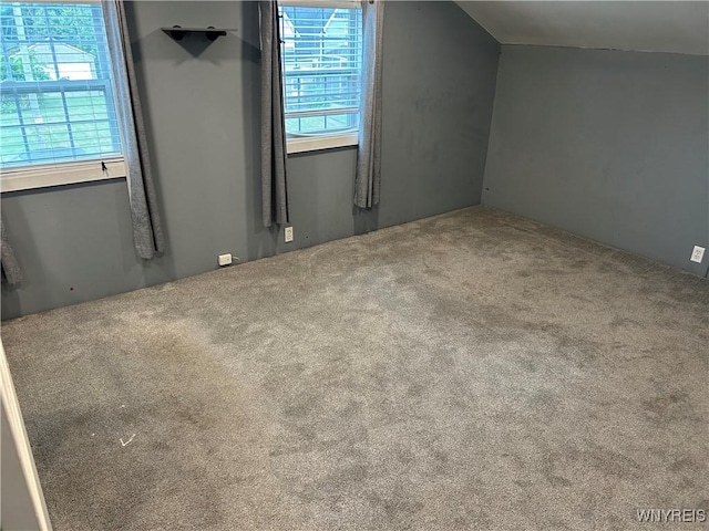 38 Hines St, Buffalo, NY 14220 - bonus room featuring carpet
