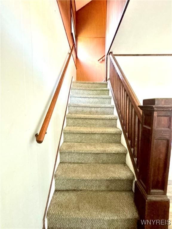 39 Klas Ave, West Seneca, NY 14224 - staircase with carpet floors