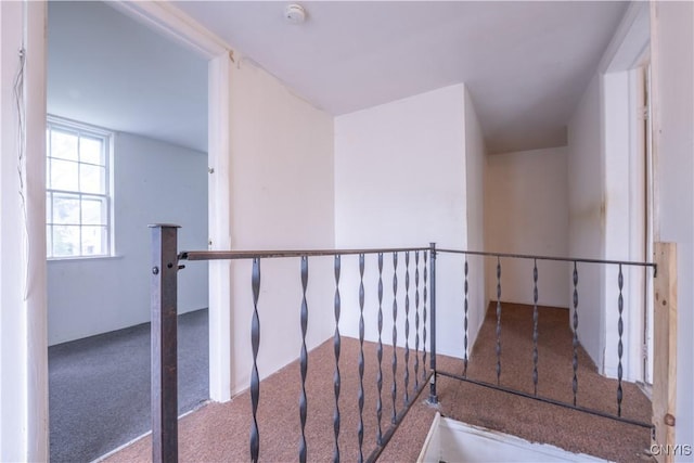 103 Stanwix St, Rome, NY 13440 - stairway with carpet flooring