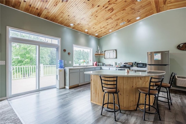 7156 County Line Rd, Naples, NY 14512 - kitchen featuring stainless steel appliances, wooden ceiling, lofted ceiling, wood finished floors, and light countertops