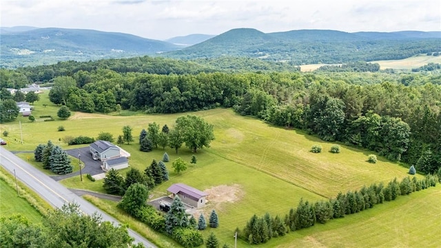 7156 County Line Rd, Naples, NY 14512 - overview of rural landscape with a mountainous background