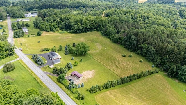 7156 County Line Rd, Naples, NY 14512 - overview of rural landscape