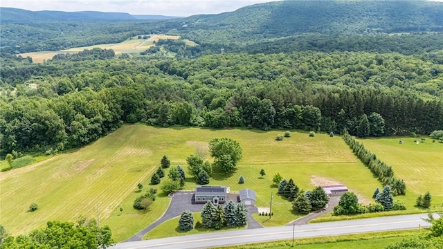 7156 County Line Rd, Naples, NY 14512 - overview of rural landscape with a mountainous background