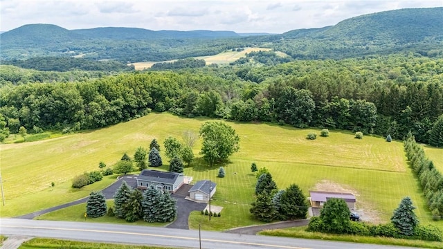 7156 County Line Rd, Naples, NY 14512 - view of rural area with a mountainous background